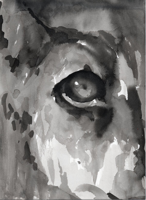 Lioness Eye - Print