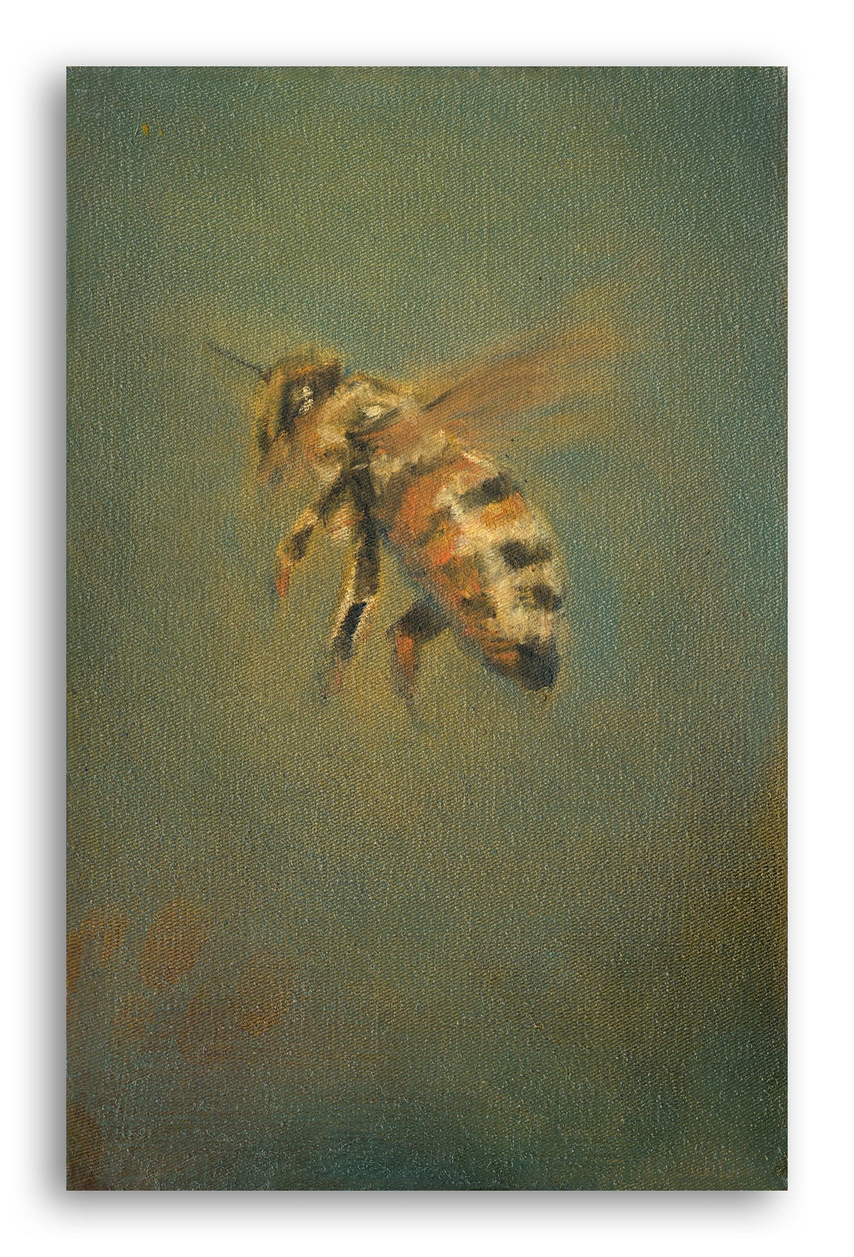 Bee in flight side profile
