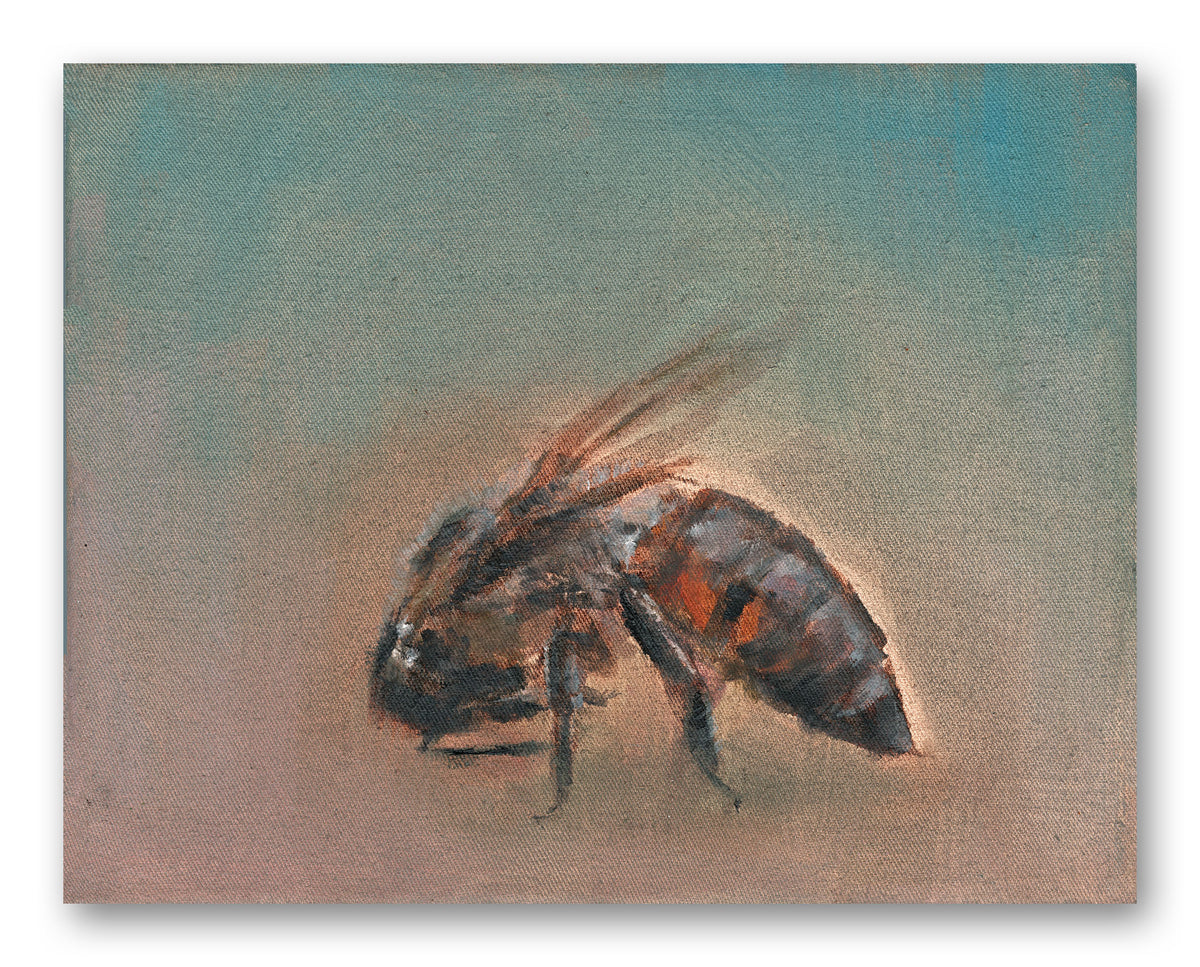 Bee in side profile