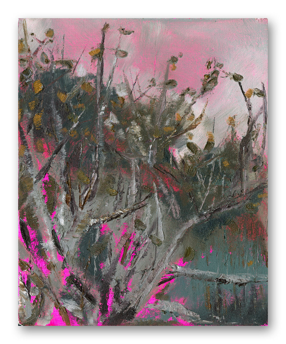 Spring shrubs